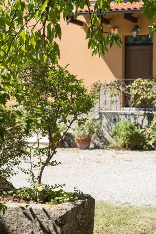 B&B Murolungo San Lazzaro di Savena Exterior photo